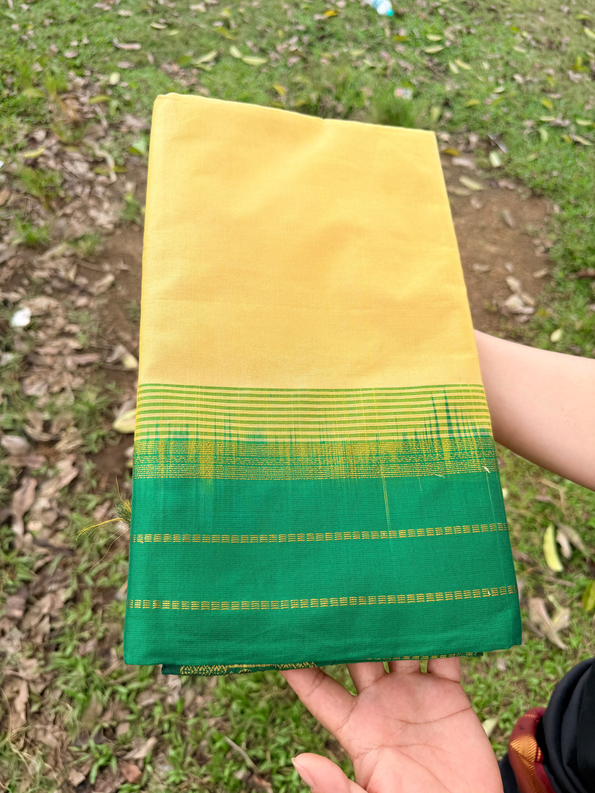 Kanjipuram Beige and Green