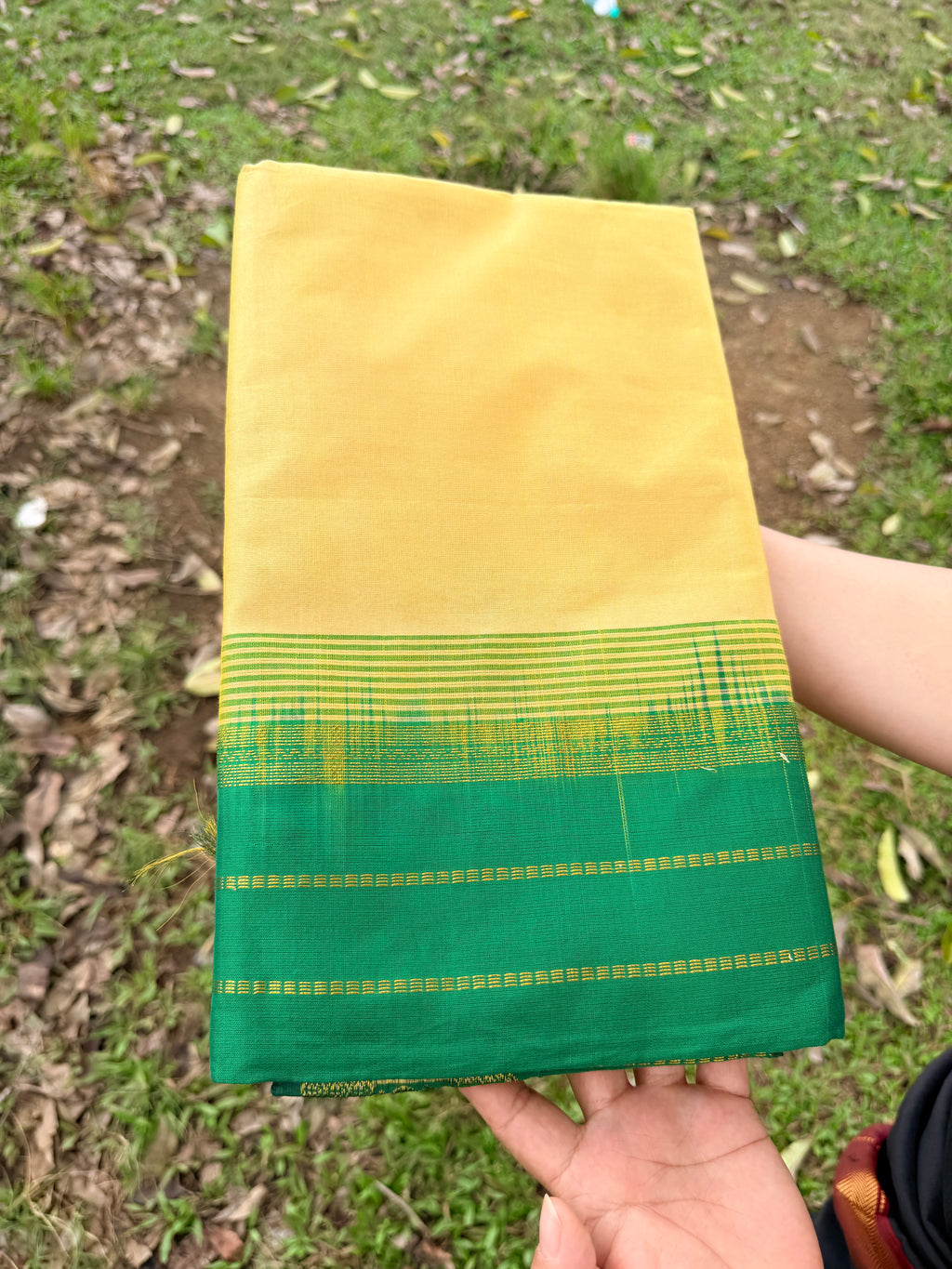 Kanjipuram Beige and Green